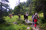 Trekkiing