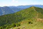 Trekiking Fravort